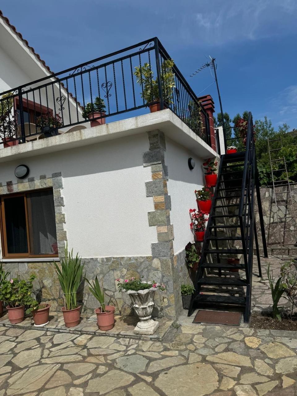 Papaj Villa Zefi Rrenc מראה חיצוני תמונה