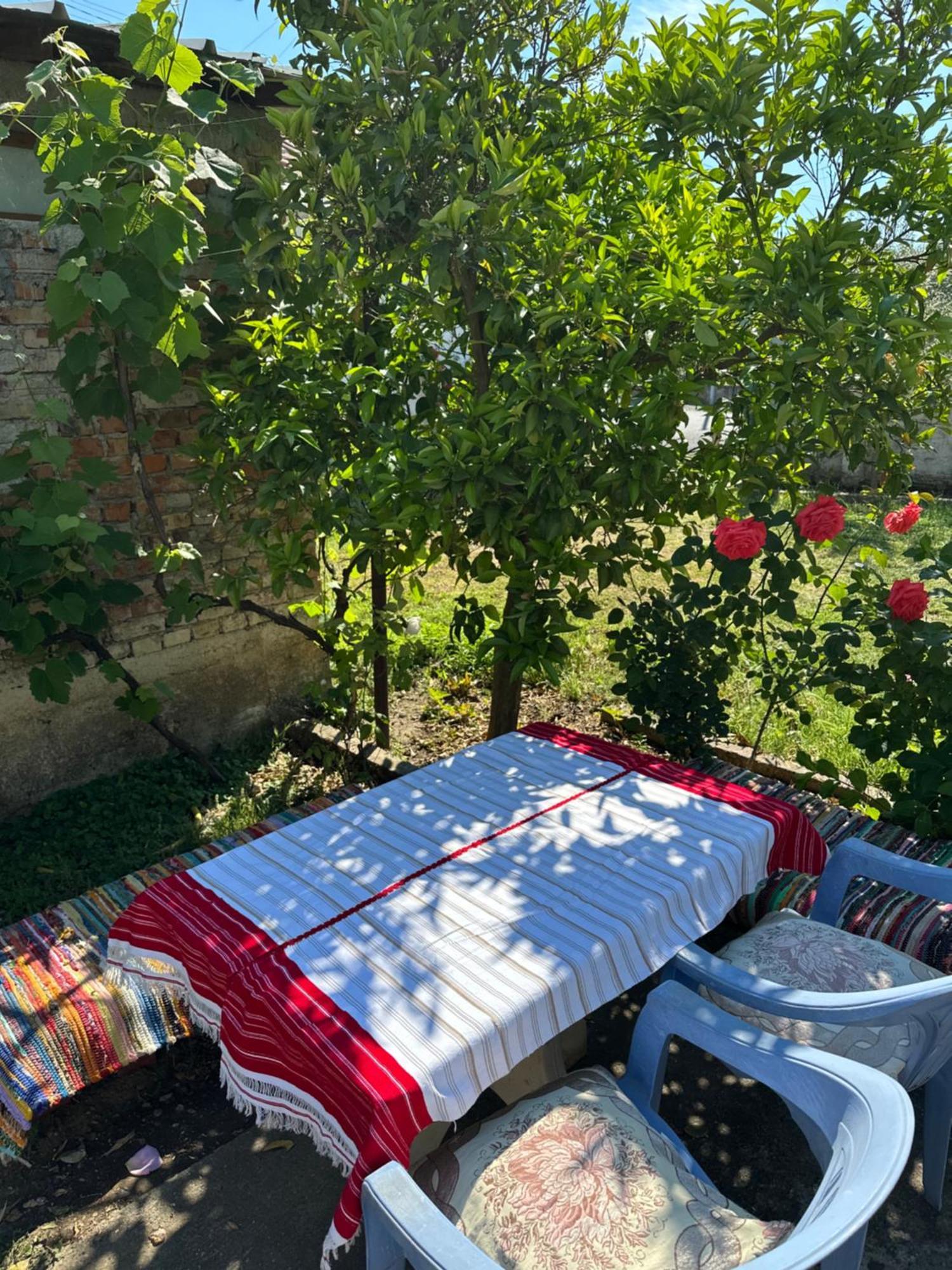 Papaj Villa Zefi Rrenc מראה חיצוני תמונה